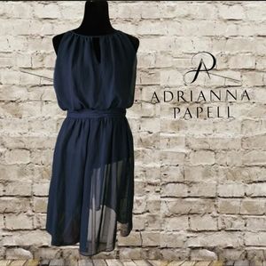 Adrianna Papell Navy Chiffon Dress